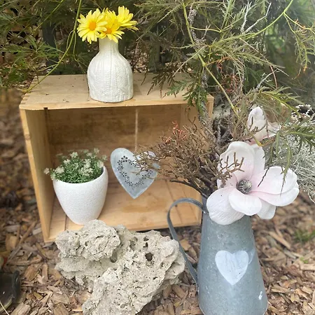 Ferienwohnung Shakira بينش