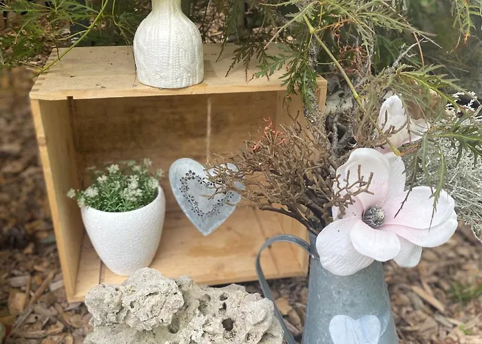 Ferienwohnung Shakira بينش